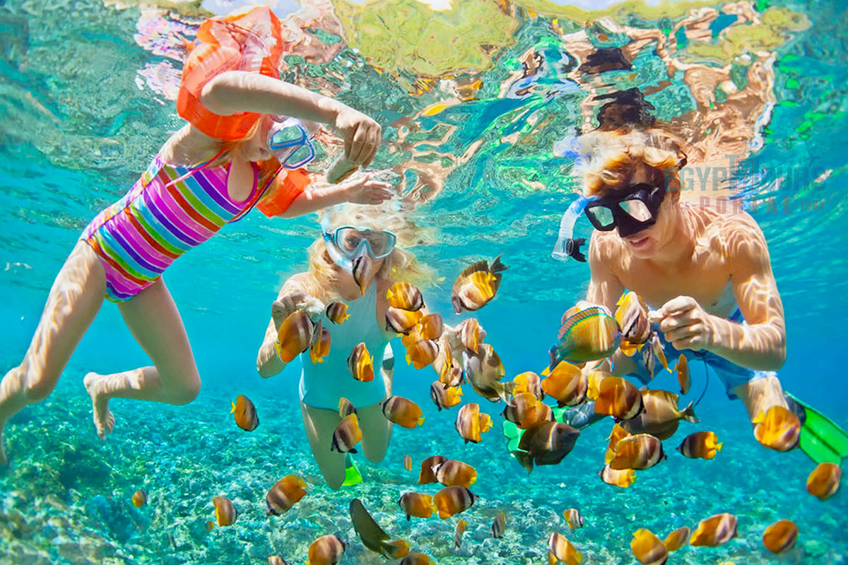 Activités à Faire à Hurghada - Egypt Tours Portal.jpg