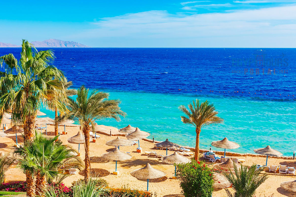 Activités à Faire à Marsa Alam - Egypt Tours Portal.jpg